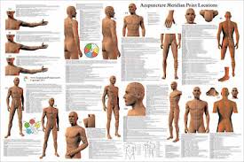 Acupuncture Meridian Point Locations Reference Poster 24 X