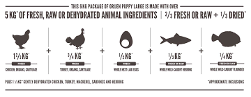 High Protein Large Breed Puppy Dog Food Orijen