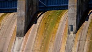 table rock dam in branson tours and