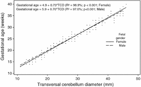 Fetal Transverse Cerebellar Diameter Measured By Ultrasound
