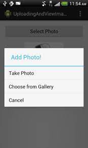camera and select image from gallery