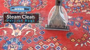 steam clean persian rugs you
