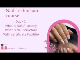 nail course nail anatomy