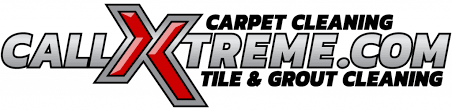 extreme carpet tile cleaning