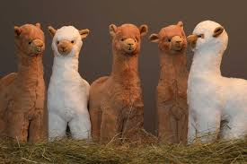 the cutest alpaca plush toy abolengo