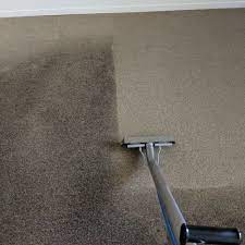 carpet cleaning near holland mi