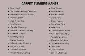 497 carpet cleaning names that will wow you