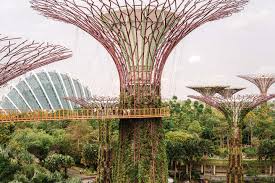 gardens by the bay cloud forest