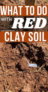 gardening in red clay soil you re