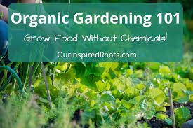 organic gardening 101 how to get