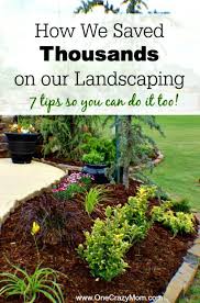 Money Saving Landscaping Tips