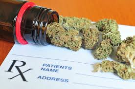 My florida green has been helping qualified patients access medical marijuana doctors in florida. How Can I Get Medical Marijuana In Florida Cannamd