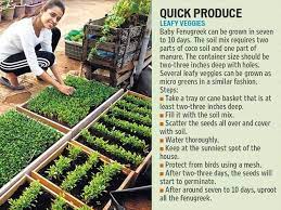 Tips To Build Your Own Kitchen Garden