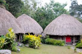 Honai merupakan salah satu rumah adat papua yang menjadi tempat tinggal bagi suku dani. Rumah Adat Papua Adalah Aneka Rupa Rumah