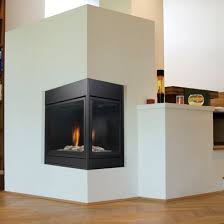 See Through Direct Vent Gas Fireplace