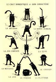 This 19th Century French Chart On How To Read Your Cats