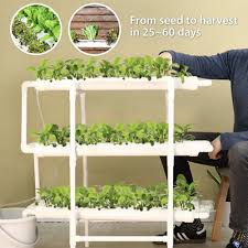 home hydroponic kit save