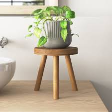 Best Plant Stands For Indoors