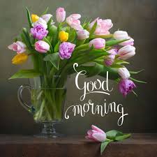 54+ good morning greetings and pictures. 79 Good Morning Images With Flowers Have A Beautiful Day Good Morning Friends Images Good Morning Cards Good Morning Flowers