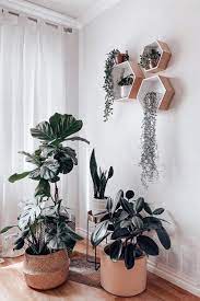 living room plants corner wall decor