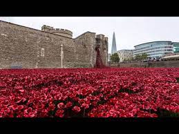 the tower of london poppies you