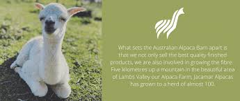 australian alpaca barn home page