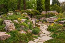 Try These Low Water Landscaping Designs