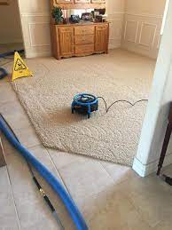 apartment carpet cleaning safe dry