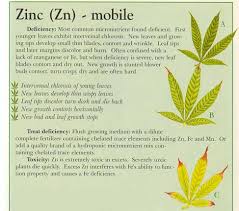 How To Fix Cannabis Zinc Deficiency Z Pics Symptoms