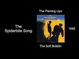the flaming lips the spiderbite song