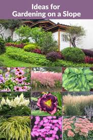 Gardening On A Slope Tips And Ideas