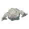 Image of What does Geodude evolve?