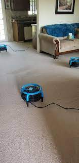 your carpets cleaned and dry in 4 hours