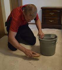 why choose woodard for carpet cleaning