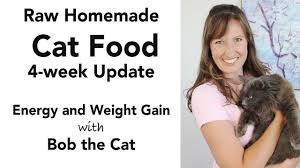 homemade cat food update kidney