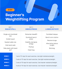 30 day beginner s weightlifting program