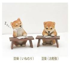 Shiba Inu Akita Dog Mame Shiba Sleep