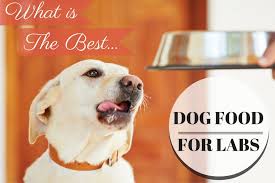 The Best Dog Food For Labs Puppy Food Comparison Chart For