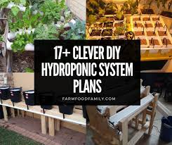 17  Clever DIY Hydroponic System Plans Designs For Beginners (2022)
