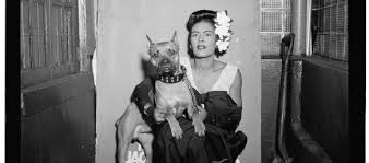 Slikovni rezultat za billie holiday