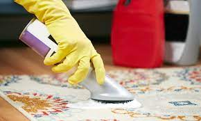 dynamic carpet cleaning solution from