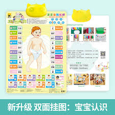 Usd 7 24 Baby Self Awareness Sound Wall Charts Cognitive