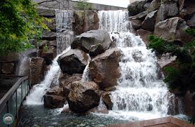 waterfall garden park serenity in the