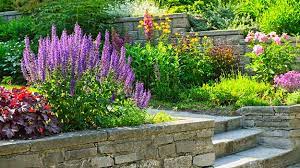 Complete Guide To Garden Design Pro