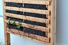 build a vertical garden using pallets