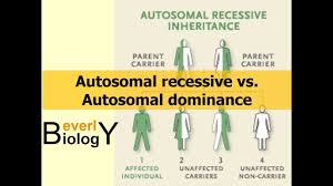 autosomal recessive vs autosomal