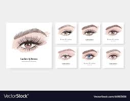 luxury makeup vector image