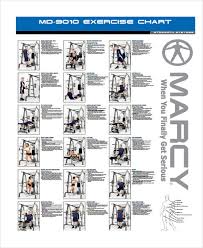 Marcy Home Gym Exercise Chart Pdf Sport1stfuture Org