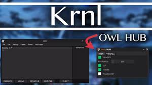 Krnl is one of the most reliable roblox exploits out there in terms of script performance. Krnl Discord Key To Krnl