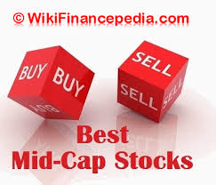 mid cap stocks to for long term